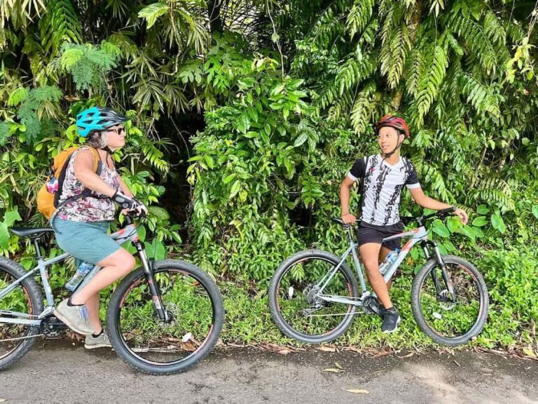 Scenic Cycling Tours Through Bali's Sidemen Countryside - Waterfalls and Scenic Views