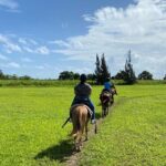 Scenic Horseback Riding Tour from San Juan - What to Expect at Hacienda Campo Rico