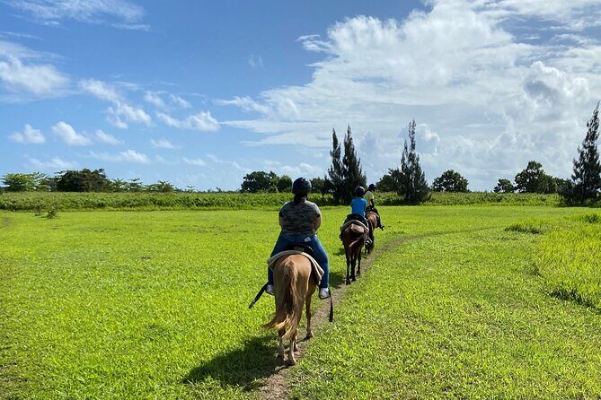 Scenic Horseback Riding Tour from San Juan - What to Expect at Hacienda Campo Rico