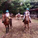 Scenic Horseback Trail - The Practicalities: Transportation, Group Size, and Cost