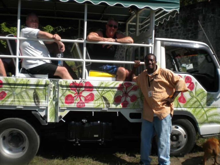 Scenic Rainforest Hike & Snacks - Practical Details and Tips