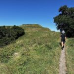 Scenic Short Hike Tour - Papamoa Hills and McLaren Falls - What Reviewers Love