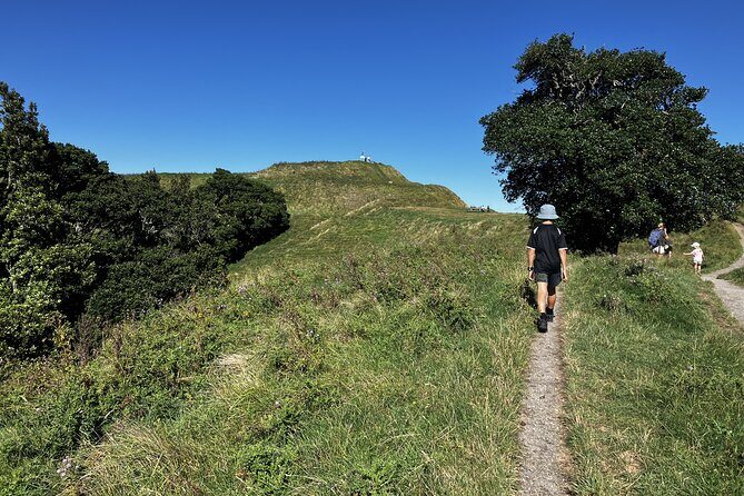 Scenic Short Hike Tour - Papamoa Hills and McLaren Falls - What Reviewers Love