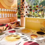 Scentopia - 100ml Scent crafting with Rainforest orchids - What We Love About Scentopia