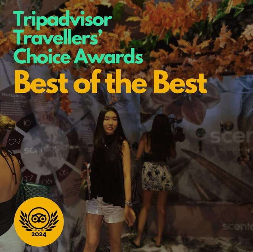 Scentopia - 100ml Scent crafting with Rainforest orchids - The Itinerary Breakdown