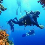 Scuba Diving Catalina Island from Punta Cana - Authentic Insights from Reviewers
