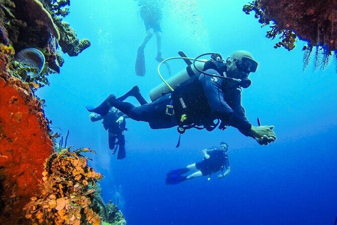 Scuba Diving Catalina Island from Punta Cana - Authentic Insights from Reviewers