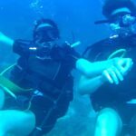 Scuba Diving in Catalina Island - An In-Depth Look at the Tour Experience