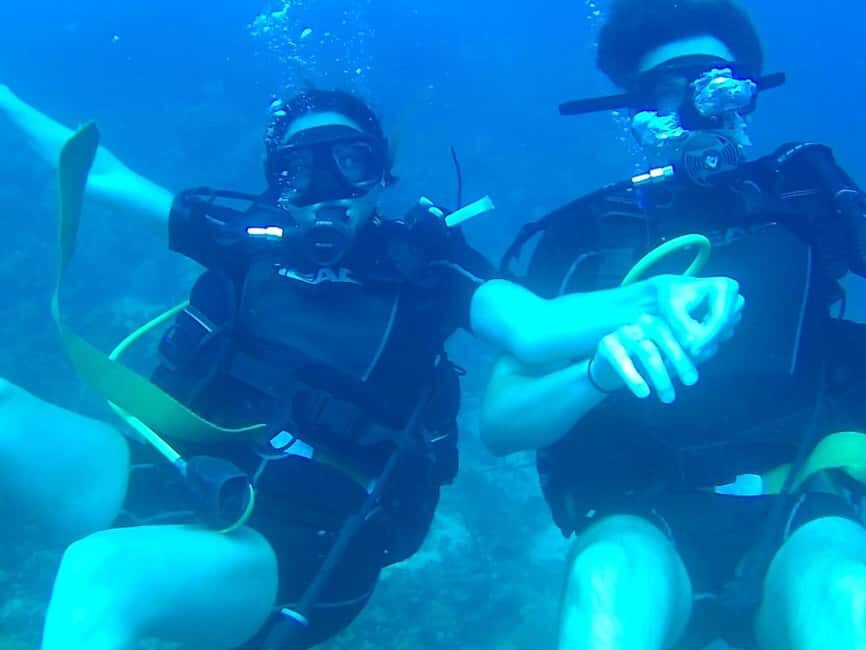 Scuba Diving in Catalina Island - An In-Depth Look at the Tour Experience