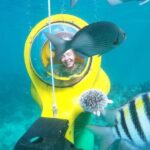 Scuba-Doo Scooter in Punta Cana - Authentic Experiences from Reviews