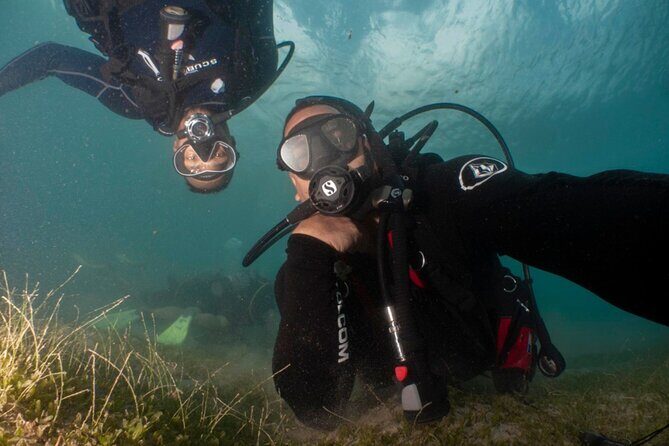 Scuba Tour for Certified Divers in San Juan - The Itinerary – What to Expect