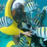 Scubadoo Punta Cana Diving Adventure - What to Expect from the Tour