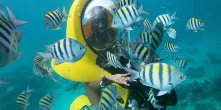 Scubadoo Punta Cana Diving Adventure - What to Expect from the Tour