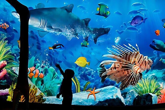 Sea life Bangkok Ocean World Ticket - Who Will Love This Experience?