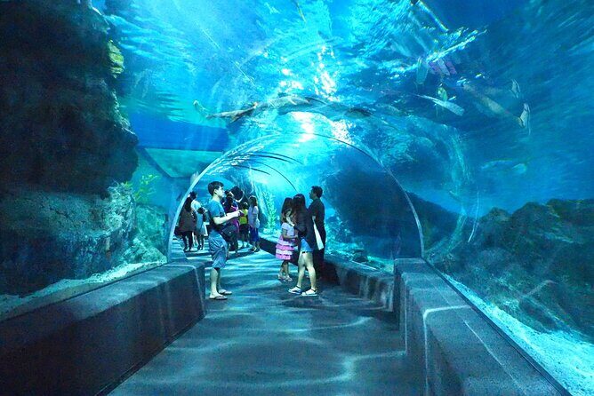 Sea life Bangkok Ocean World Ticket - What You Can Expect at SEA LIFE Bangkok Ocean World