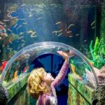 SEA LIFE Sydney Aquarium Entry Ticket - Authentic Feedback from Visitors