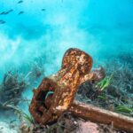 Sea-nic, Sip N Snorkel on a Semi-Submersive Seacraft - The Details: Practical Info for Travelers