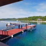 Seaplane Transfer from Puerto Princesa to El Nido - Who Is This Tour Best For?