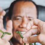 Seaweed Farming Activity and Sightseeing at Diamond Beach - Analyzing the Value: Is It Worth the Price?