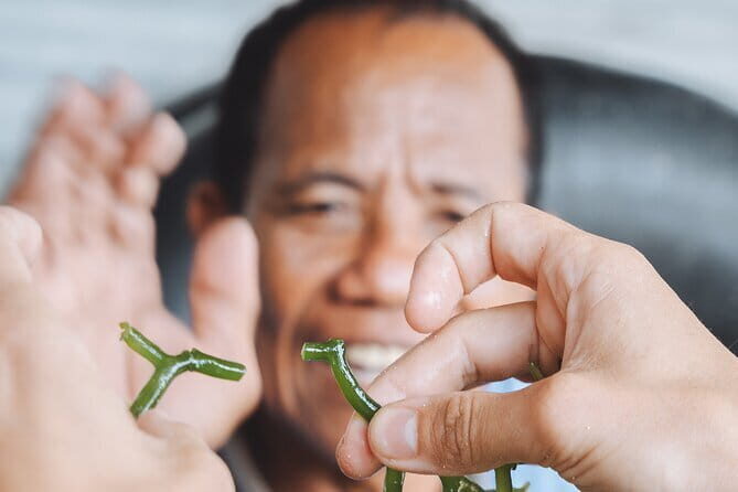 Seaweed Farming Activity and Sightseeing at Diamond Beach - Analyzing the Value: Is It Worth the Price?