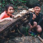 Secluded Waterfall Adventure - The Trail and Hike to the Waterfalls