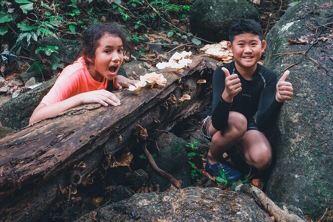 Secluded Waterfall Adventure - The Trail and Hike to the Waterfalls