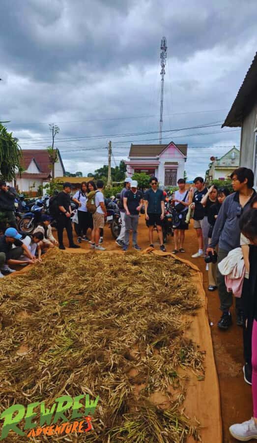 Secret Tour Dalat - Exploring the Itinerary in Detail