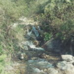 Secret Waterfall Trek - Authentic Experiences from Visitors