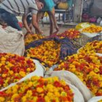 Secrets of the Pink City Old Jaipur Heritage Walking Tour - Who Will Love This Tour?