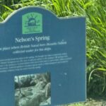 See It All {The Local Behind The Scenes Tour Of Nevis} - In-Depth Breakdown of the Experience