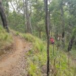 Self-Guided Mountain Bike Tours in Port Douglas - The Bikes and Equipment