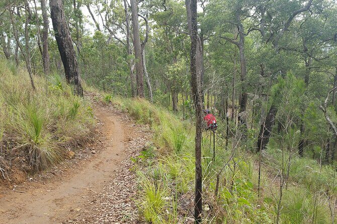Self-Guided Mountain Bike Tours in Port Douglas - The Bikes and Equipment