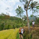 Selogriyo Temple and treking Java Rice Terrace and waterfall - Why This Tour Offers Excellent Value