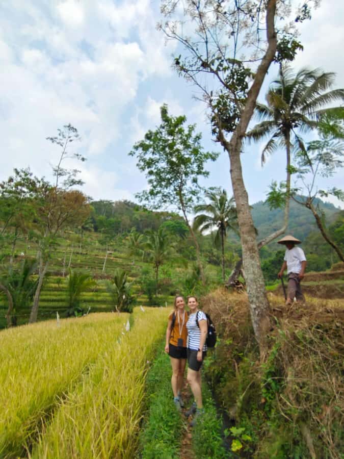 Selogriyo Temple and treking Java Rice Terrace and waterfall - Why This Tour Offers Excellent Value