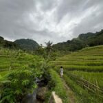 Selogriyo Temple Coffee Processing & Village Trekking Tour - Who Is It Best For?