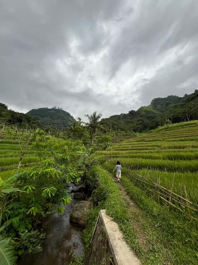 Selogriyo Temple Coffee Processing & Village Trekking Tour - Who Is It Best For?