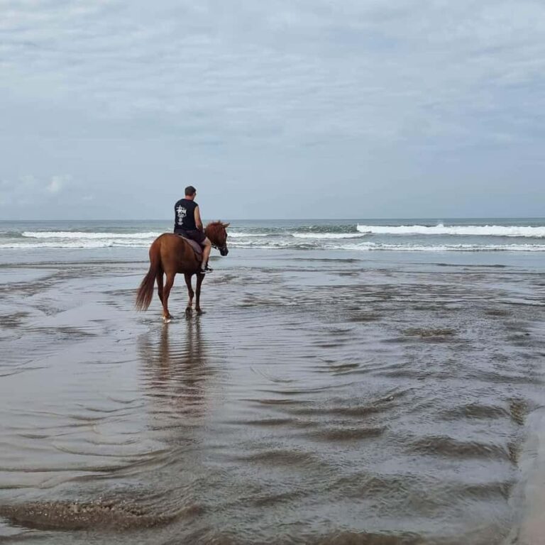 Seminyak Beach Horse Riding Experience - The Practicalities: What You Need to Know
