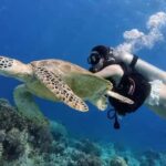 Semporna 3-Islands Day Tour: Snorkeling & Photography&Lunch - What to Expect from the Tour