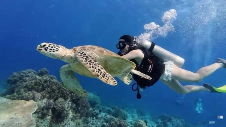 Semporna 3-Islands Day Tour: Snorkeling & Photography&Lunch - What to Expect from the Tour