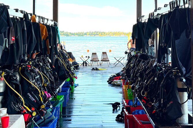 Semporna Night Dive Buwan Reef With Dinner by Boat - The Practicalities: What You Need to Know