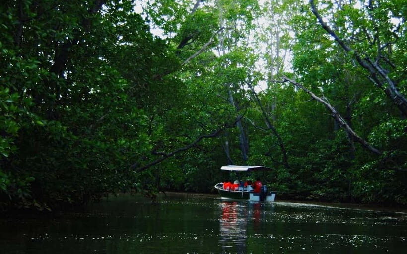 Semporna: Proboscis Monkey & Firefly Cruise with Dinner - FAQ