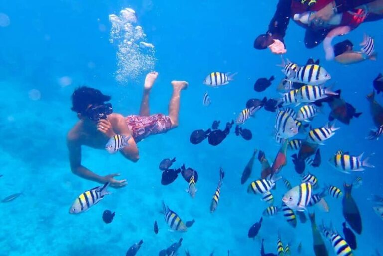 Semporna: Underwater Seawalking with Photography & Transfer - Practical Details and Tips