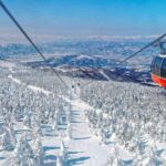 Sendai: Ginzan Onsen, Zao Ropeway Snow Monsters Tour & Lunch - Who Would Love This Tour?
