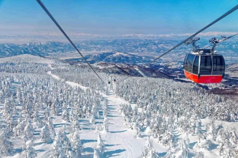 Sendai: Ginzan Onsen, Zao Ropeway Snow Monsters Tour & Lunch - Who Would Love This Tour?