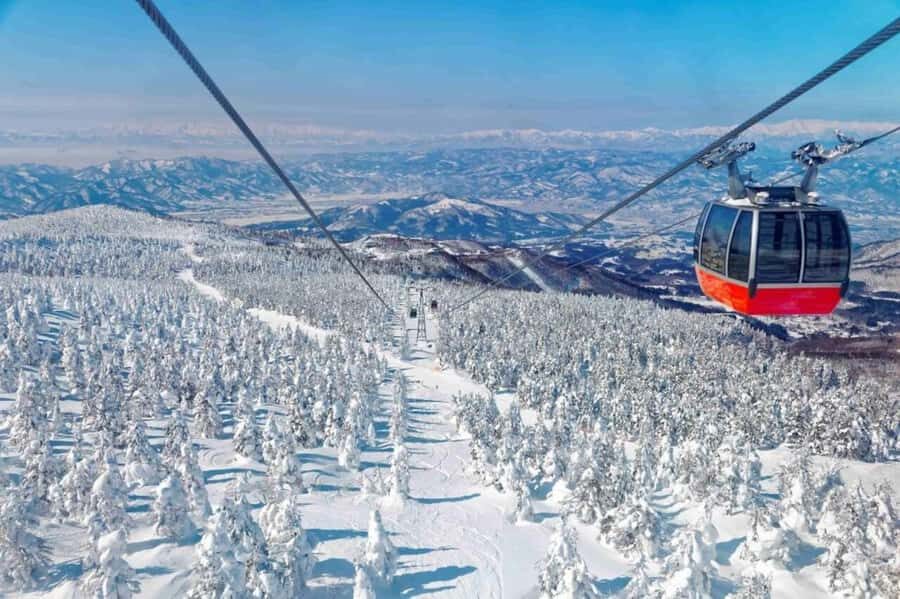 Sendai: Ginzan Onsen, Zao Ropeway Snow Monsters Tour & Lunch - Who Would Love This Tour?