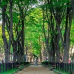 Sendai Private Vehicle Service with Restaurant Reservation - Itinerary Overview: What to Expect