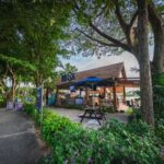 Sentosa Island: Ticket to Mega Adventure Park - What to Expect During Your Visit