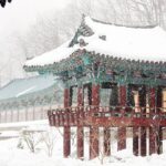 Seoraksan National Park & Nami Island - Authentic Experiences & Practical Tips