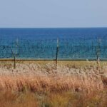 Seoul: 38th Parallel  Private DMZ & Modern Korea History - What Makes This Tour Stand Out?