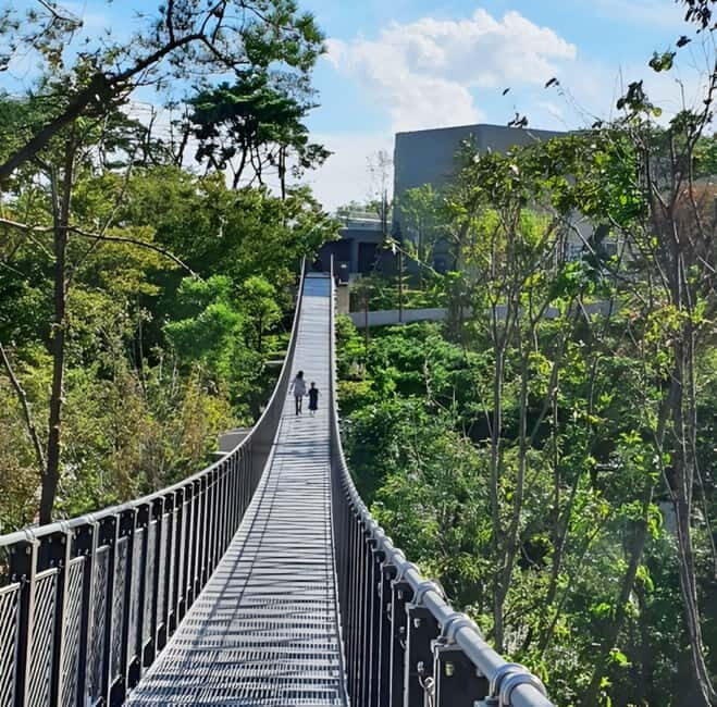 Seoul: Aegibong DMZ & Hanok Scenic/Historical One Day Tour - Practical Aspects: Transportation, Price, and Group Size